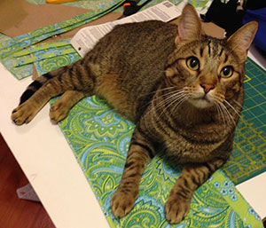 picture of a slightly plump brown tabby cat sprawled across green and blue paisley fabric