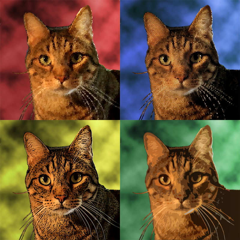 image of a four-panel cat collage