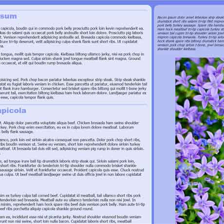 thumbnail image for example website created with a three column layout