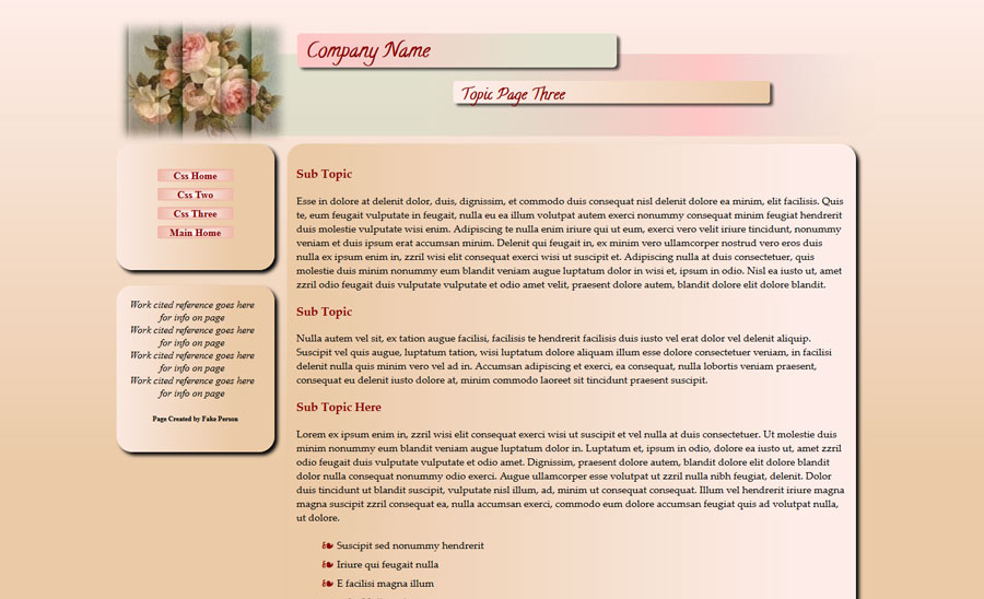 example website created with a two column layout